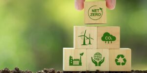 Climate Action & Carbon Projects