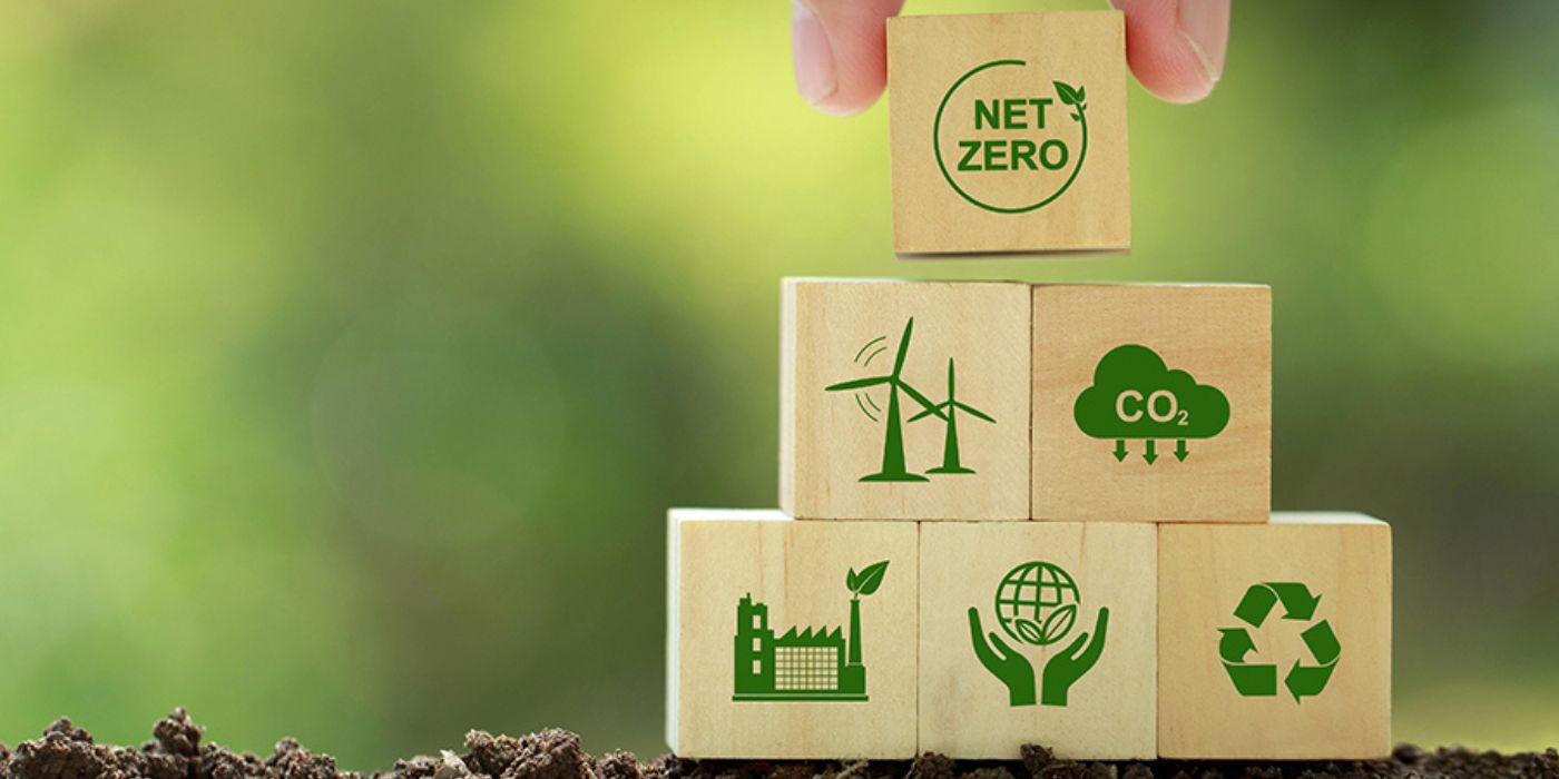 Climate Action & Carbon Projects