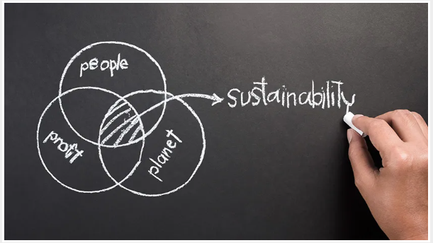 Environmental Sustainability
